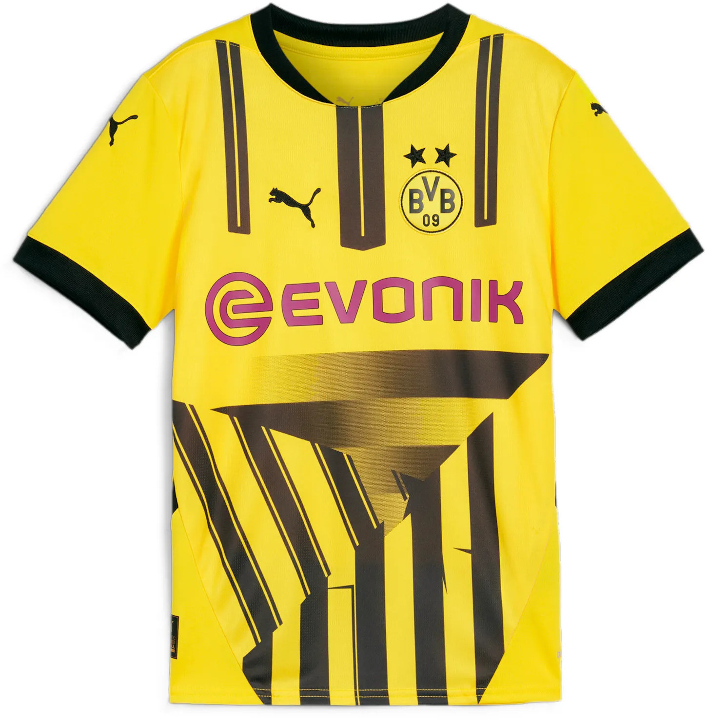 Dres Puma BVB Cup Jersey Replica Jr 2024/25