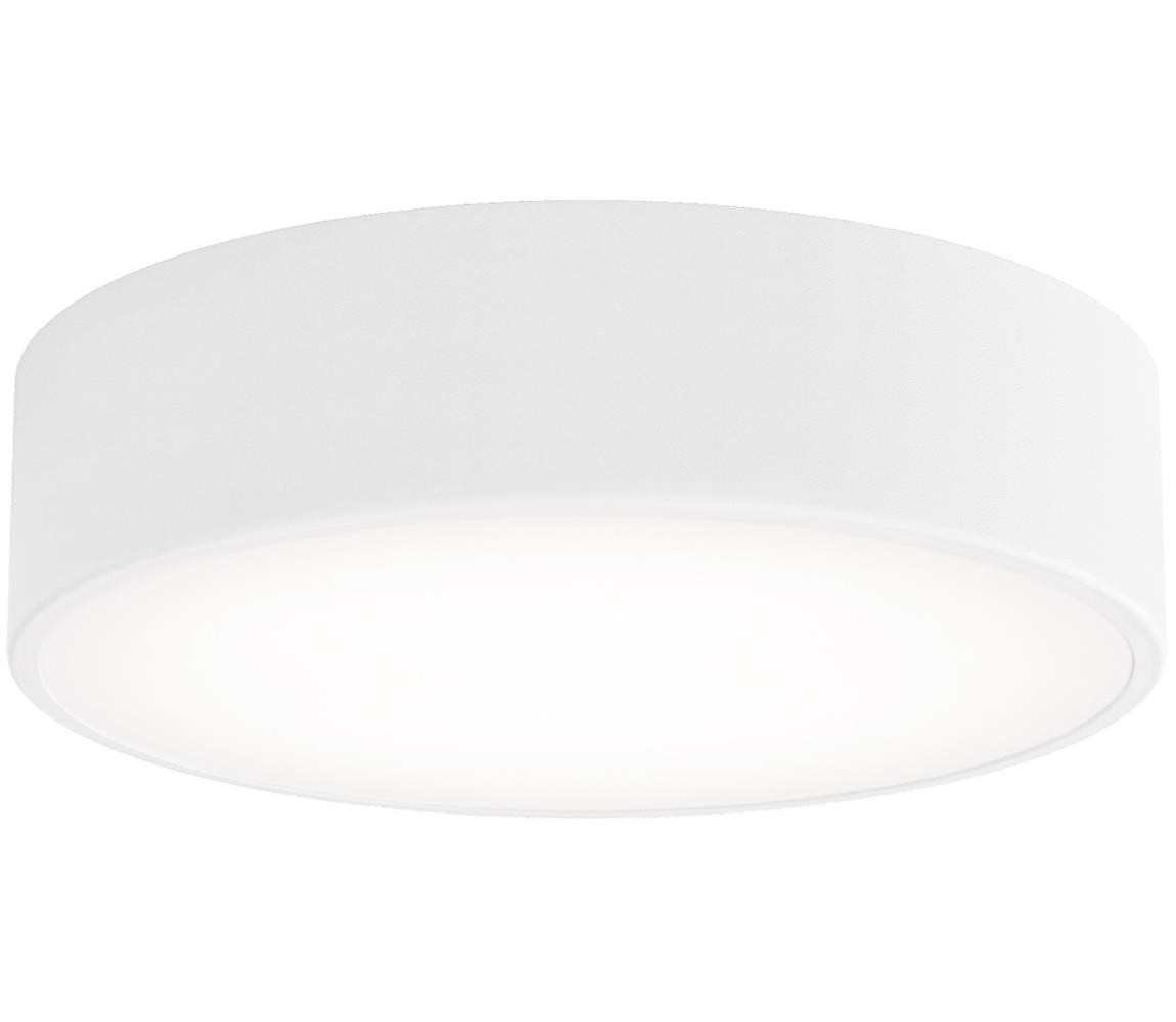 LED Stropní svítidlo CLEO LED/24W/230V 3000K pr. 30 cm bílá