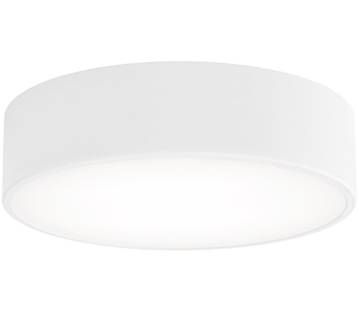 LED Stropní svítidlo CLEO LED/24W/230V 4000K pr. 30 cm bílá