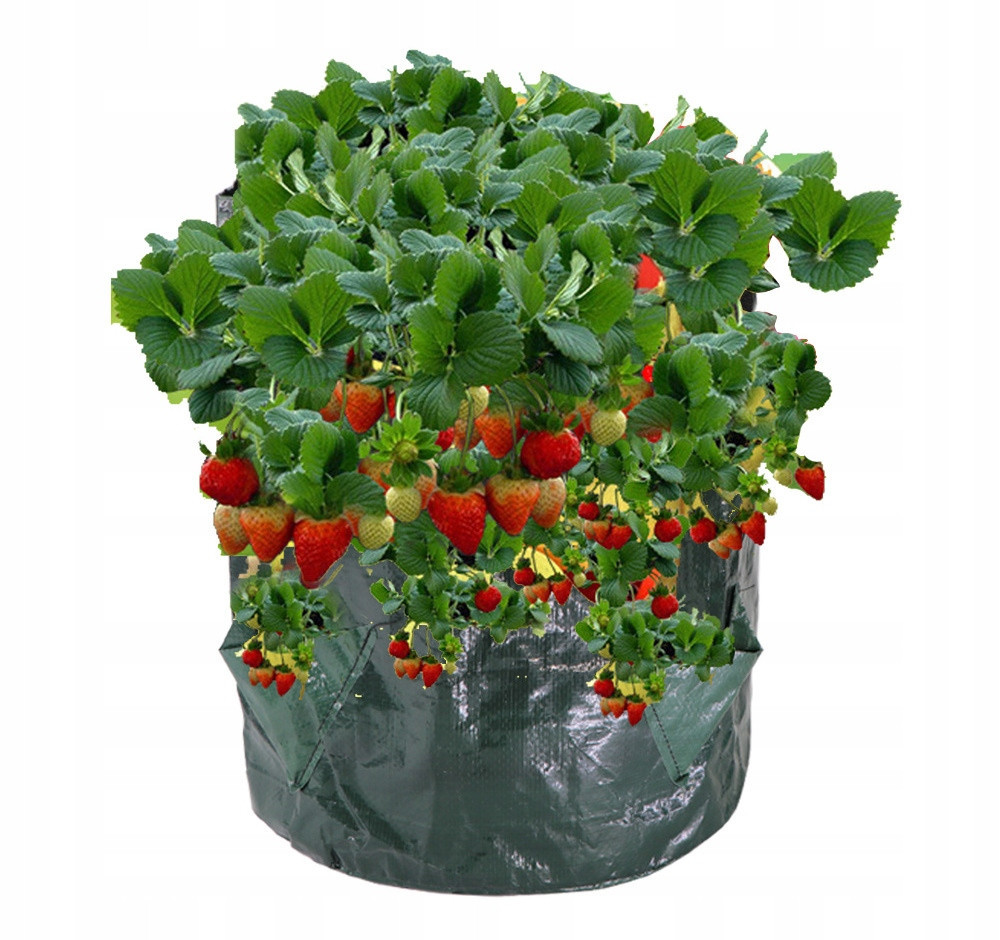 Pytel vak na pěstování jahod 35cm