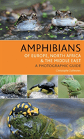 Amphibians of Europe, North Africa and the Middle East: A Photographic Guide (Dufresnes Christophe)(Paperback)