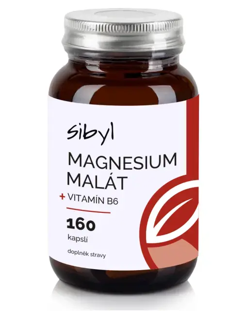 Sibyl Magnesium malát SIBYL + B6 160 cps