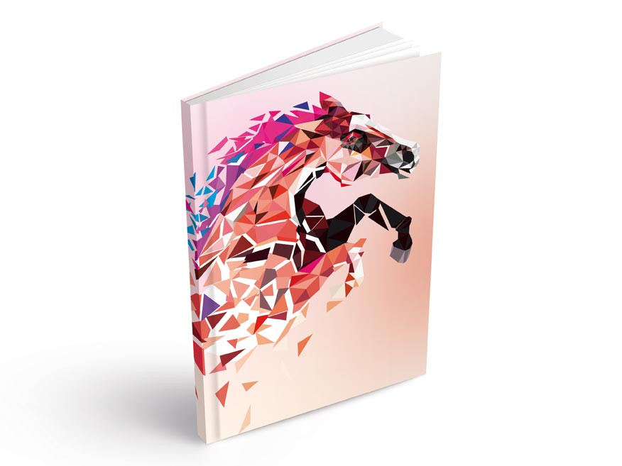 MFP 7501537 Záznamová kniha A4 100l/čistá ZL4100