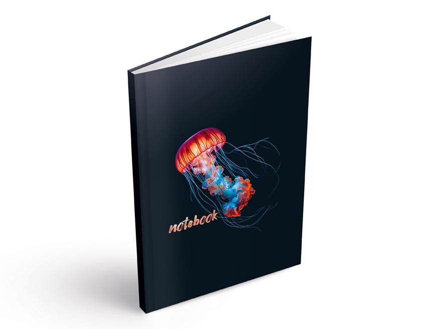 MFP 7501566 Záznamová kniha A5 100l/čistá ZL5100