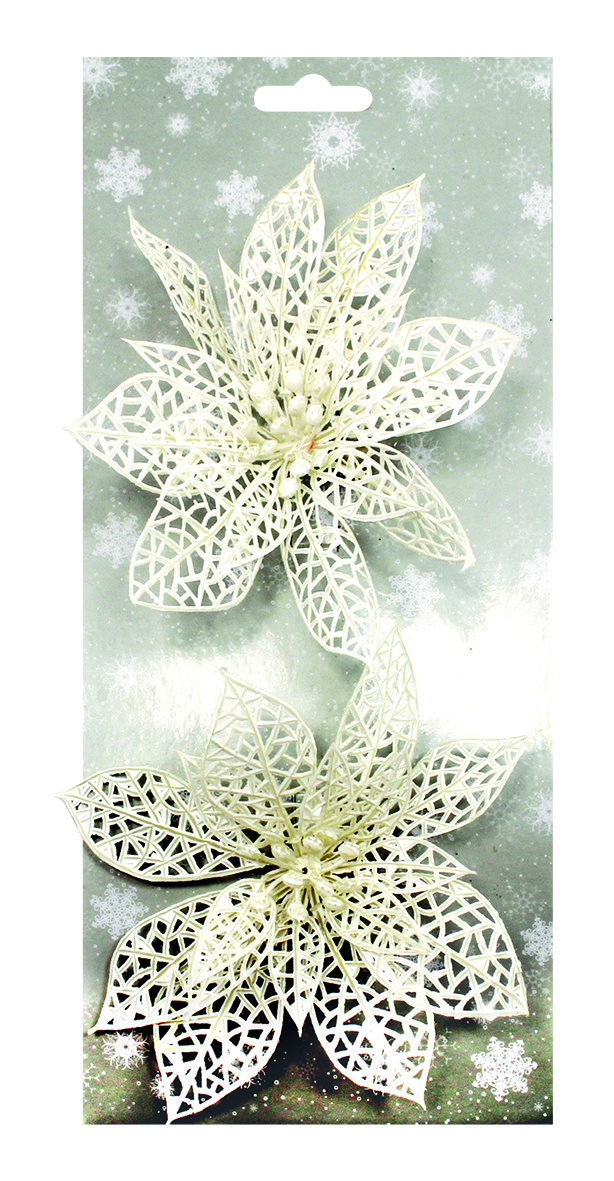 Poinsettie bílá 14 cm, 2 ks na klipu