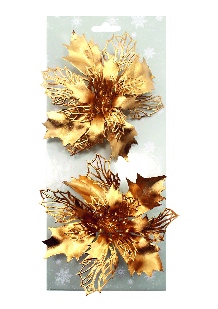 Poinsettie zlatá 14 cm, 2 ks na klipu