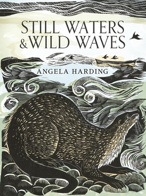 Still Waters & Wild Waves (Harding Angela)(Pevná vazba)