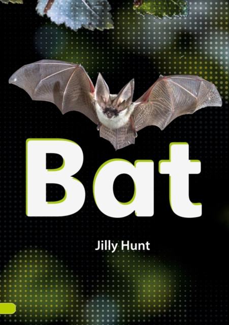 Bat (Set 02) (Hunt Jilly)(Paperback / softback)