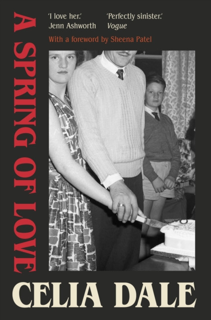 Spring of Love (Dale Celia)(Paperback / softback)