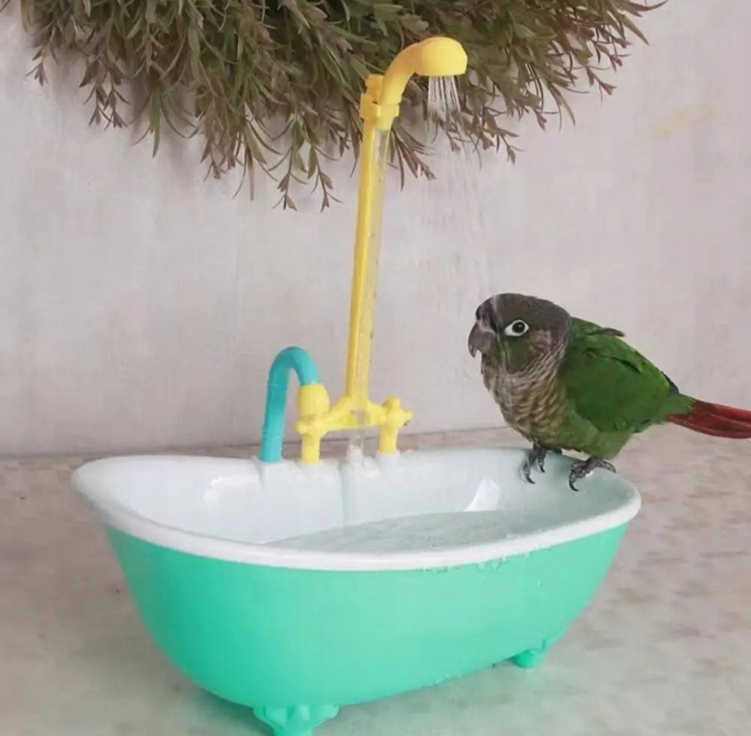 Automatický bazén koupací vana pro papoušky