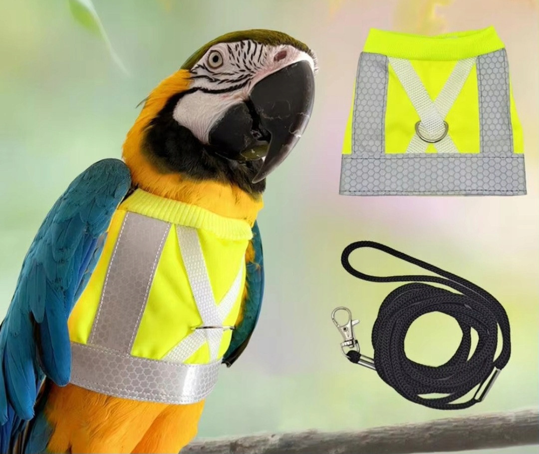 Postroj pro papoušky (reflexní vesta) vodítko S
