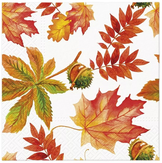 PAW Ubrousky PAW L - Fall colors - SDL136500