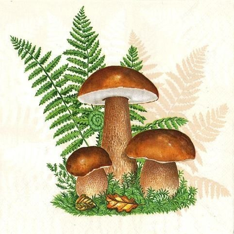 POL-MAK Ubrousky Maki L - Boletus with Leaves of Fern - SL_OG_047101