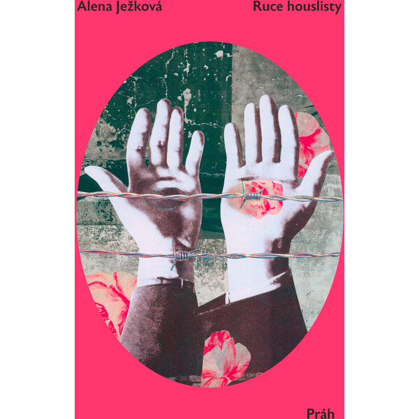 Ruce houslisty