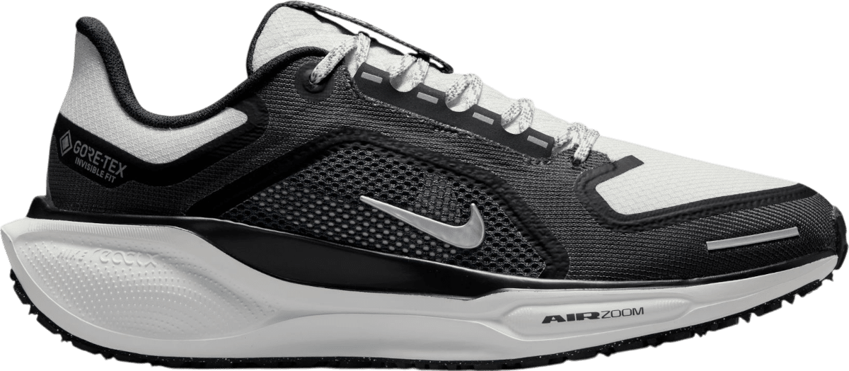 Běžecké boty Nike Pegasus 41 GORE-TEX