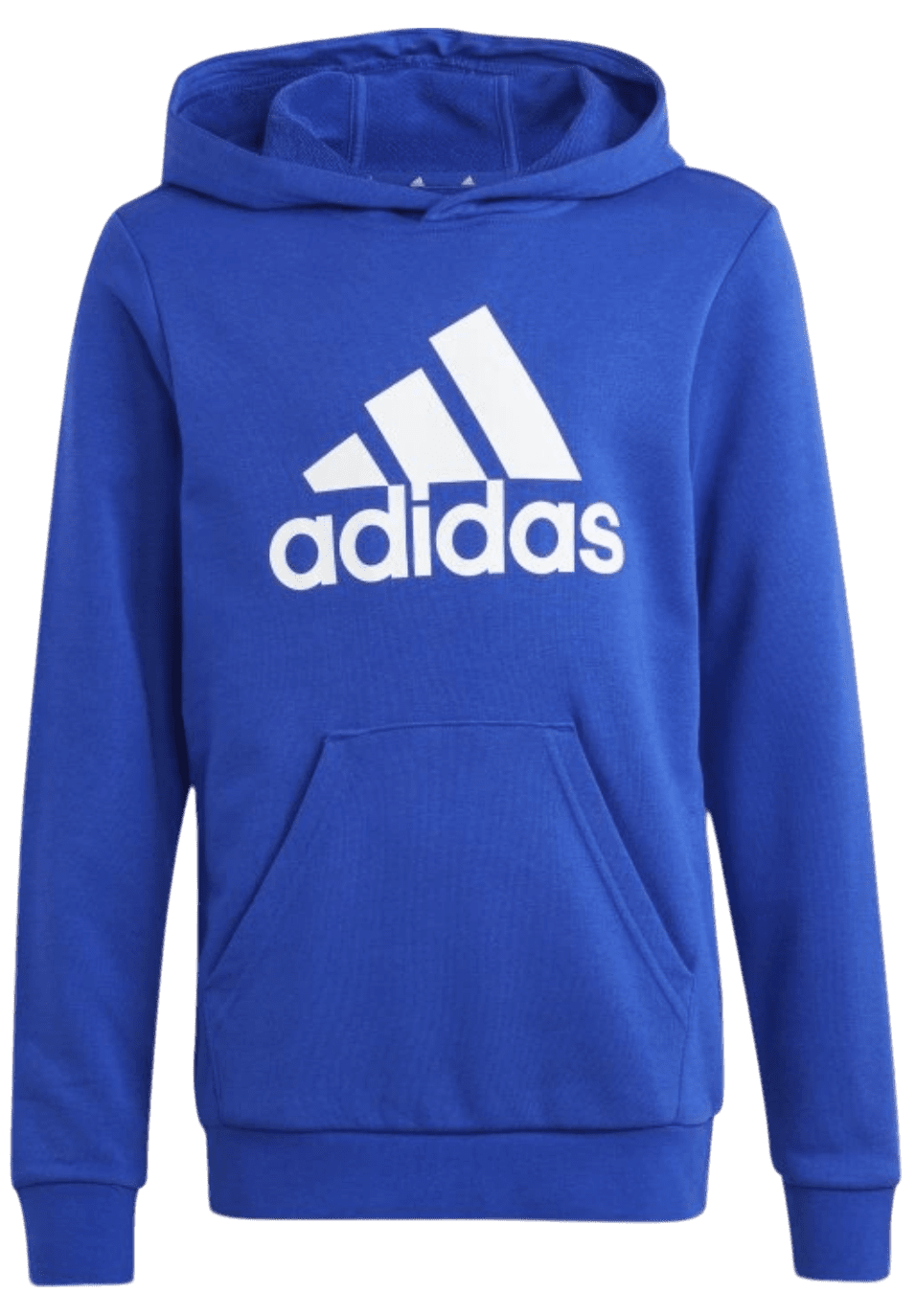 Mikina s kapucí adidas Sportswear U BL HOODIE