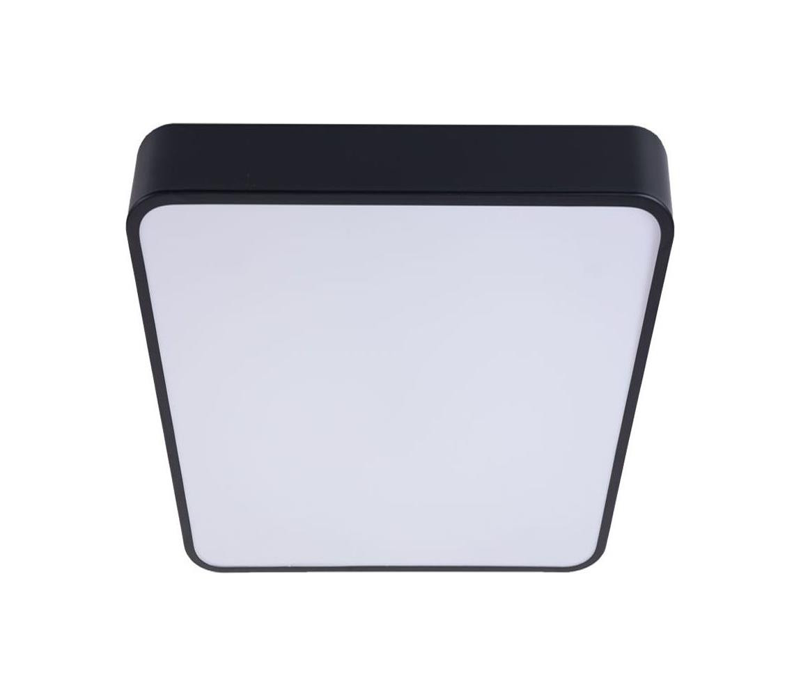 LED Stropní svítidlo FELIZ LED/50W/230V 4000K 40x60 cm černá