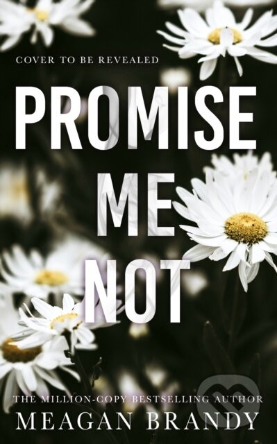 Promise Me Not - Meagan Brandy