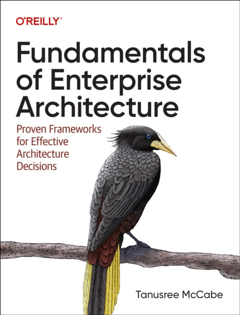 Fundamentals of Enterprise Architecture: Proven Frameworks for Effective Architecture Decisions (McCabe Tanu)(Paperback)