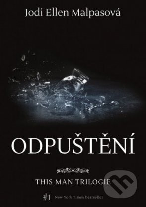 Odpuštění - Jodi Ellen Malpas