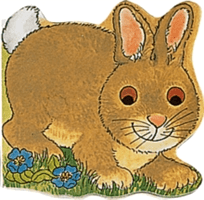 Pocket Bunny (Adams Pam)(Board Books)