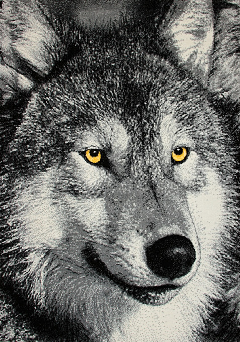 Koberec KOLIBRI 11395/190