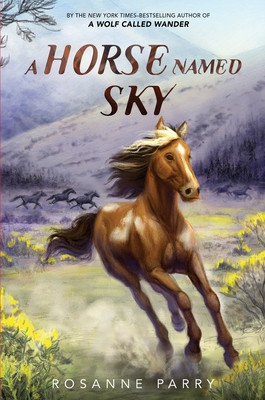A Horse Named Sky (Parry Rosanne)(Paperback)
