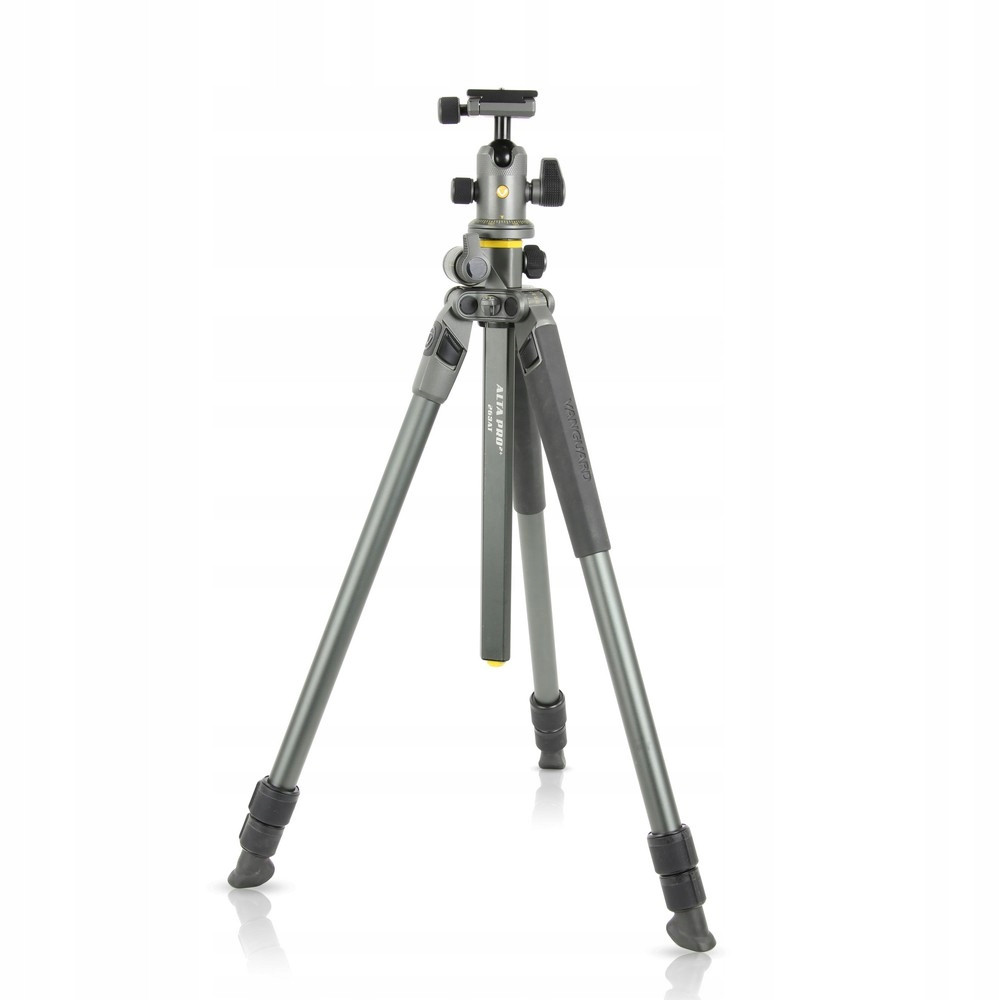 Vanguard Alta Pro 2+ 263AB 100 Stativ