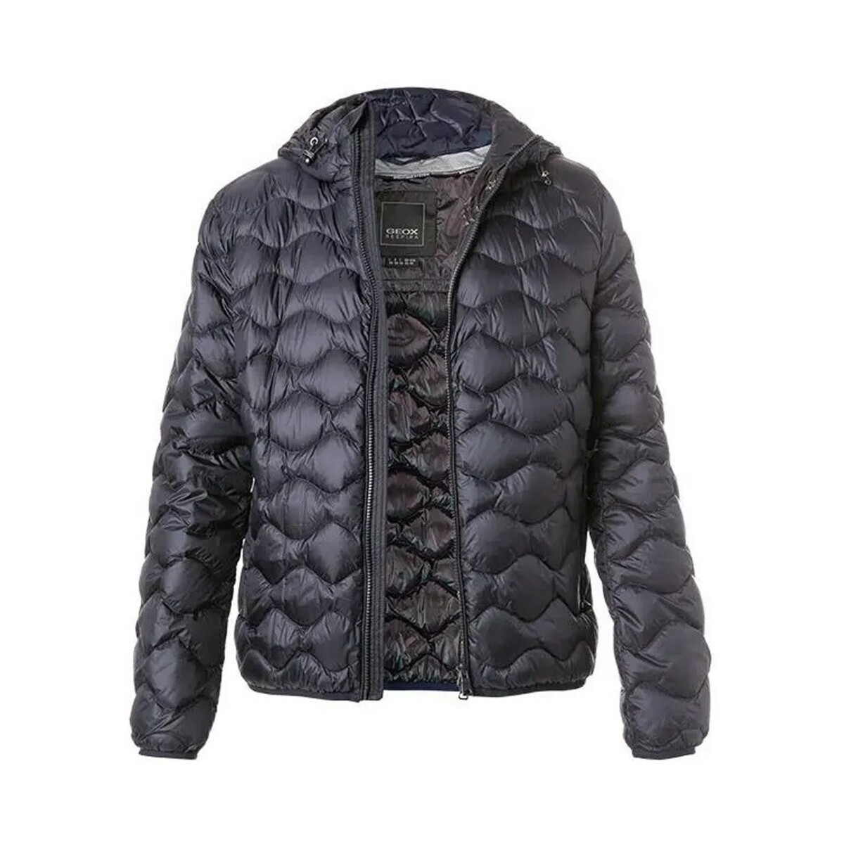 Geox  M ASCANIO  Modrá