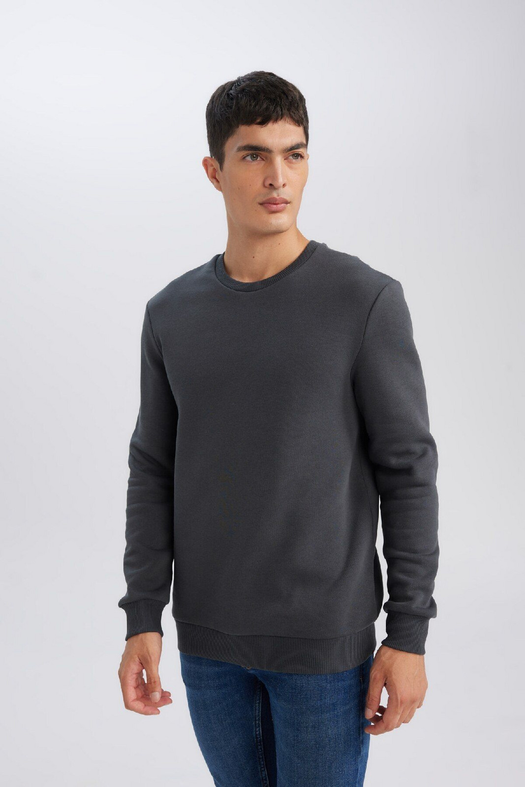 DEFACTO Anthracite 3 Thread Cotton Raised Regular Fit Polar Fleece Crew Neck Thick Sweatshirt