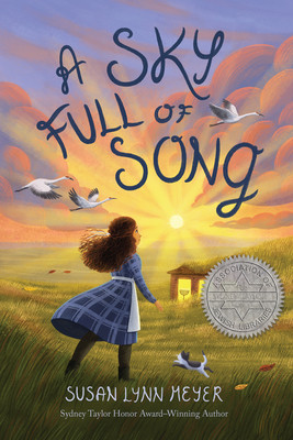 A Sky Full of Song (Meyer Susan Lynn)(Paperback)