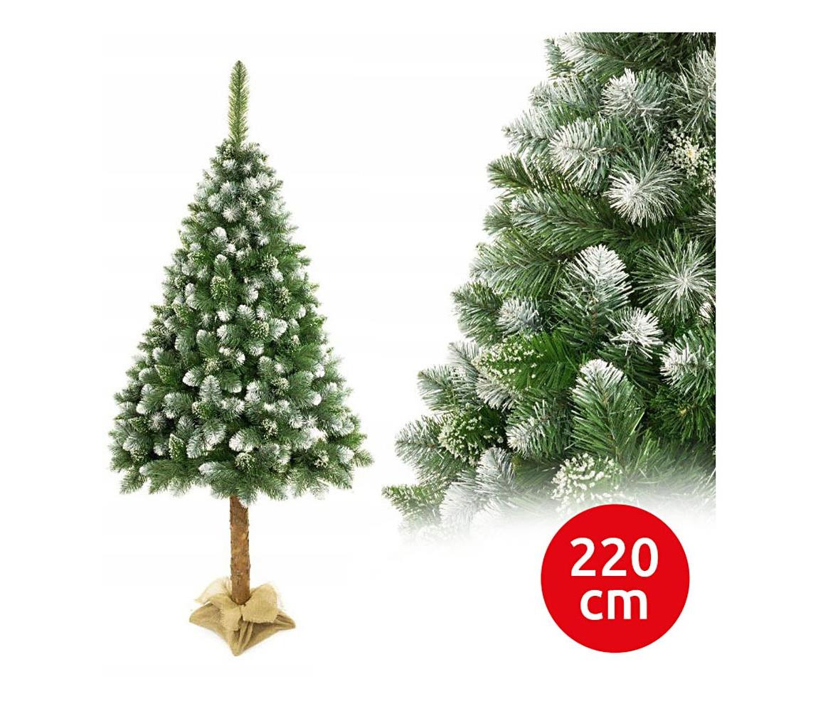 Vánoční stromek na kmenu 220 cm borovice