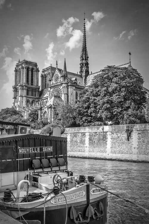 Melanie Viola Fotografie PARIS Cathedral Notre-Dame | monochrome, Melanie Viola, 26.7 × 40 cm