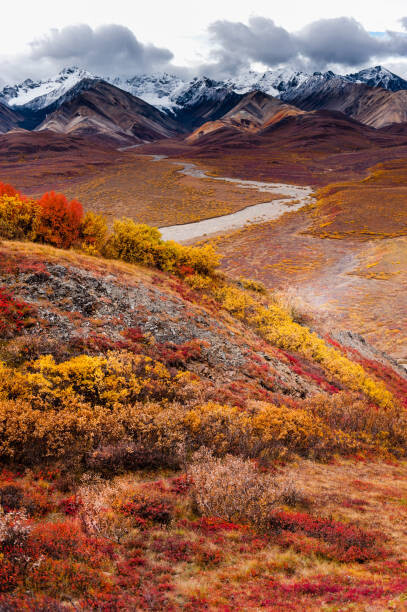 Kal K / 500px Fotografie One Autumn Morning, Kal K / 500px, 26.7 × 40 cm