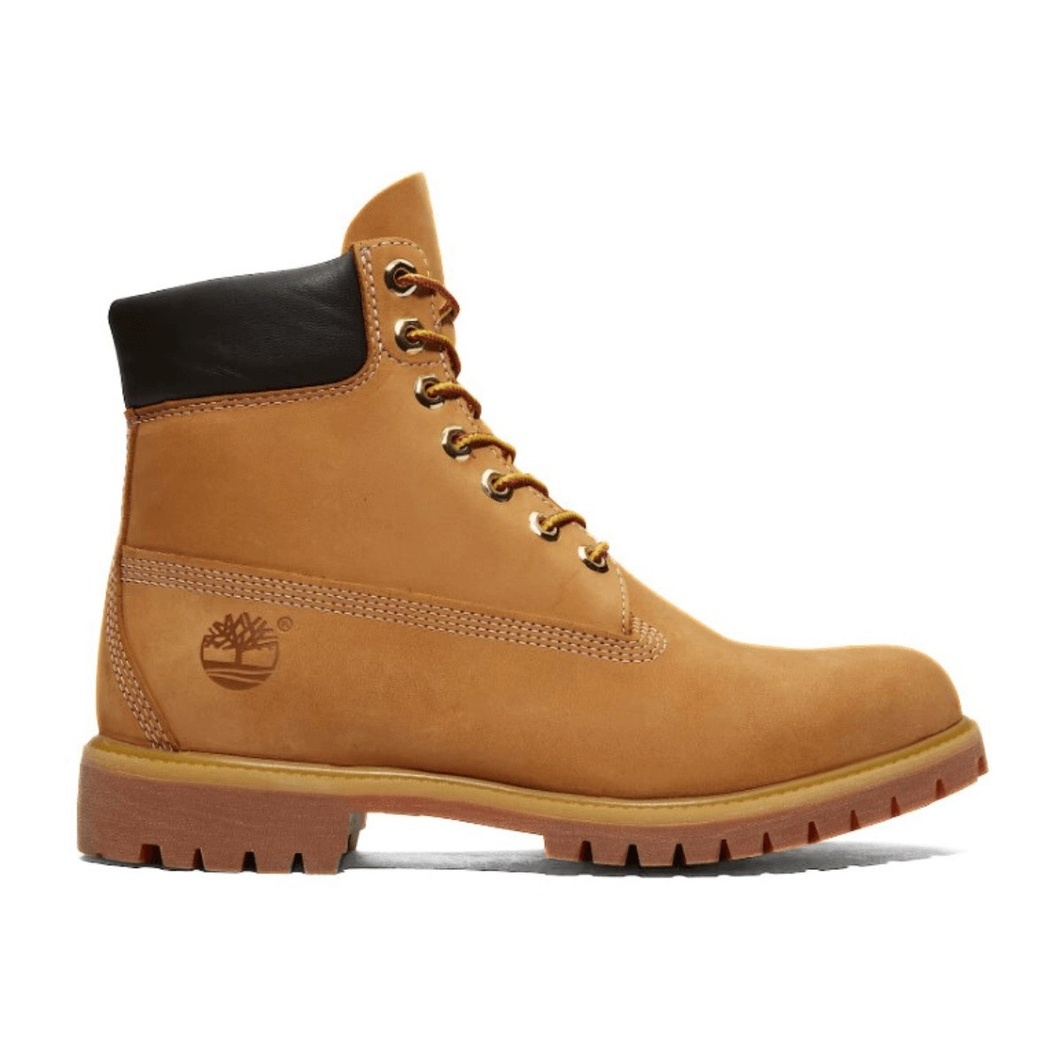 Timberland 6 In Premium WP Boot 36