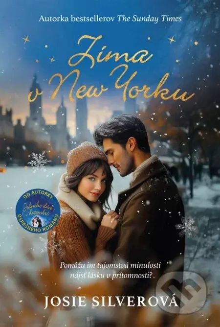 Zima v New Yorku - Josie Silver
