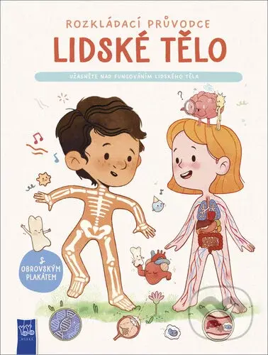 Rozkládací průvodce: Lidské tělo - YoYo Books