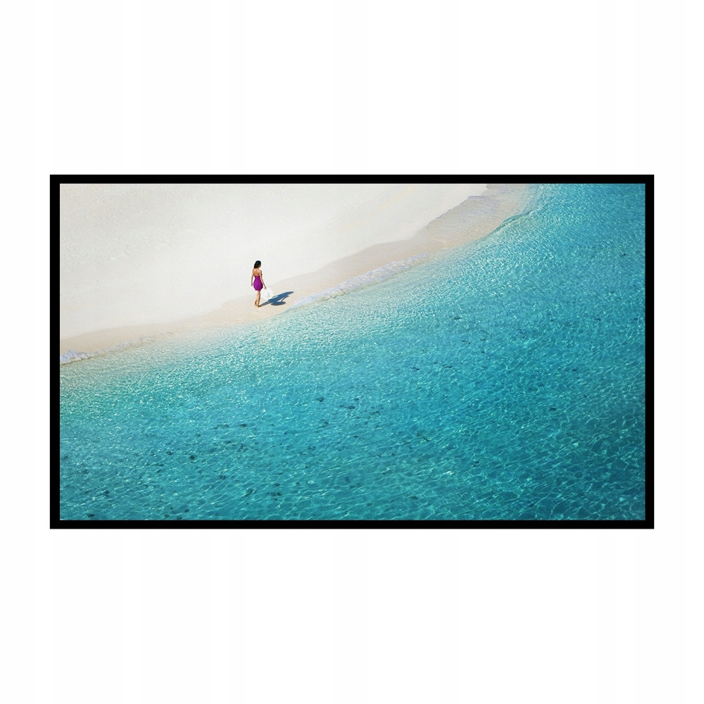 Projekční plátno BlitzWolf BW-VS4 120