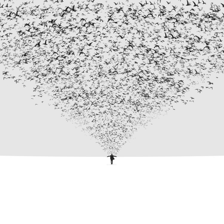 HosseinZare Fotografie The Dark Half, HosseinZare, 40 × 40 cm