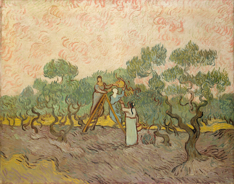 Vincent van Gogh Obrazová reprodukce The Olive Pickers, Saint-Remy, 1889, Vincent van Gogh, 40 × 30 cm