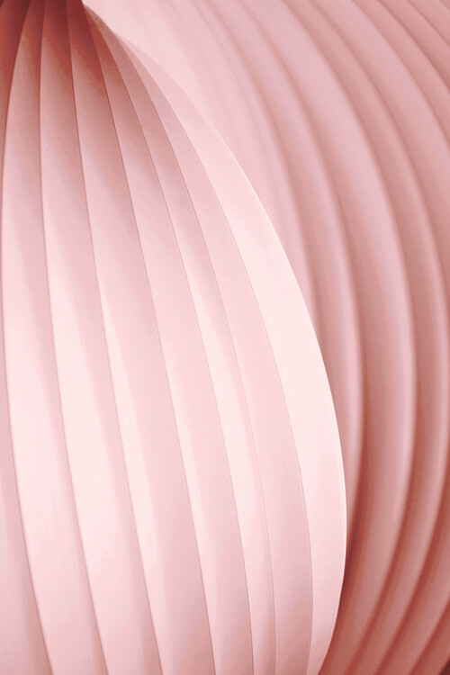 Christina Sillen Fotografie Peach Pink, Christina Sillen, 26.7 × 40 cm