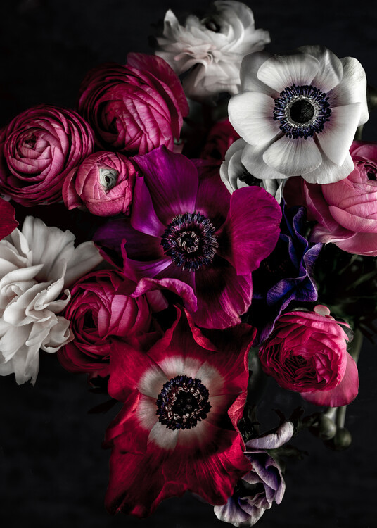 Mareike Bohmer Fotografie Dark Flowers 1, Mareike Bohmer, 30 × 40 cm