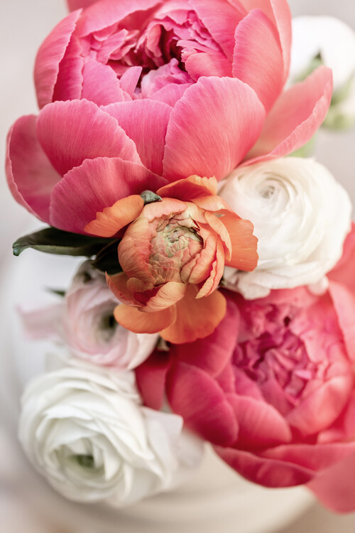 Mareike Bohmer Fotografie Spring Flowers 1, Mareike Bohmer, 26.7 × 40 cm