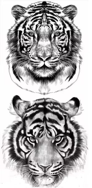 Dočasné tetování 2x tygr
