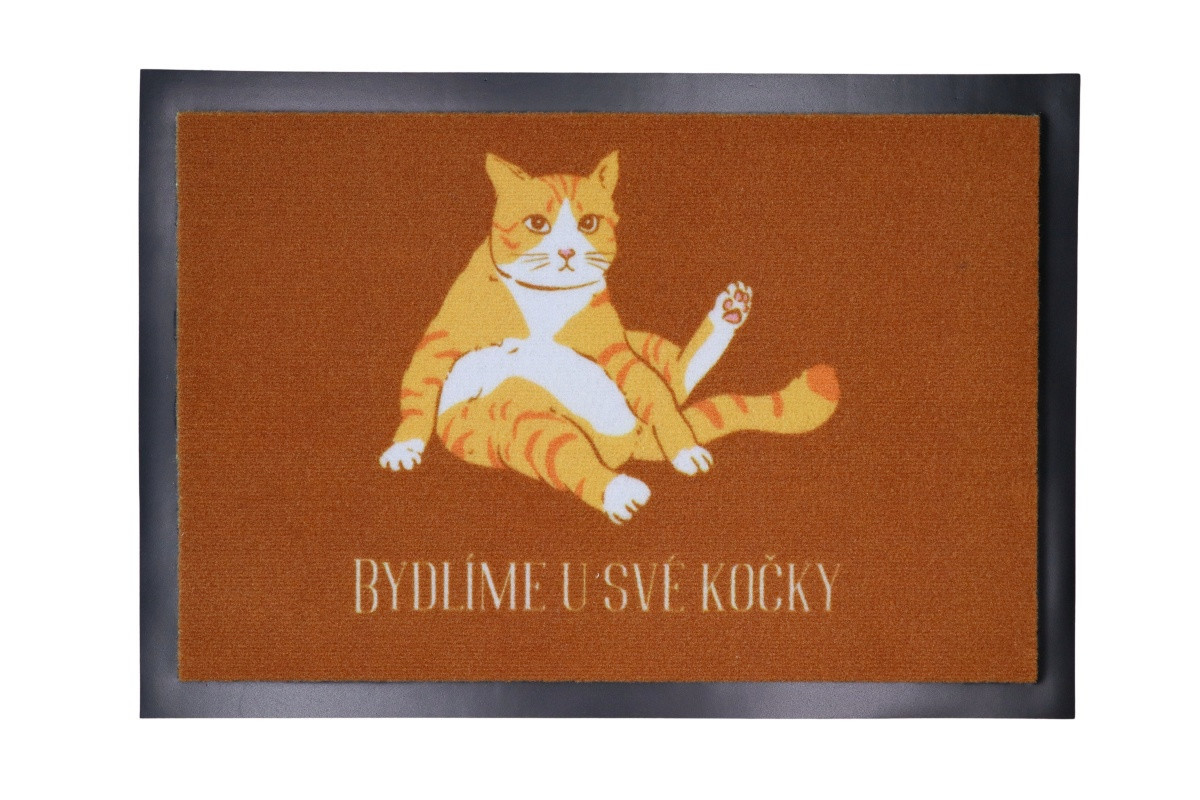 Rohožka Bydlíme u své kočky 40x60 cm - 40x60 cm Mercury Flooring