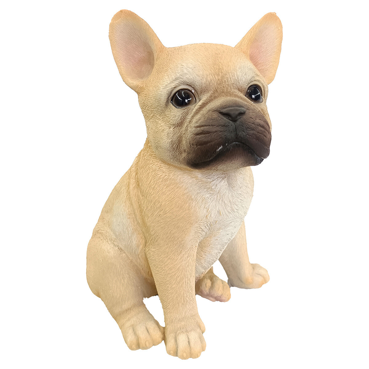 Signes Grimalt  Pes  Béžová