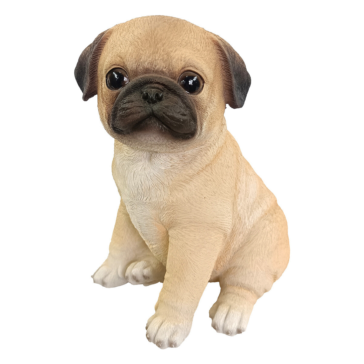 Signes Grimalt  Pes  Hnědá