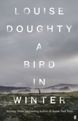 A Bird in Winter - Louise Doughty