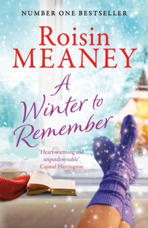 A Winter to Remember - Roisin Meaney