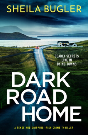 Dark Road Home - Sheila Bugler